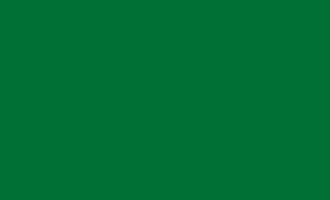 Грунт-емаль на іржу 3 в 1 Delfi глянсова зелена 20кг 46386307 фото